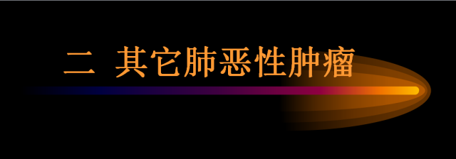 【PPT】肺肿瘤