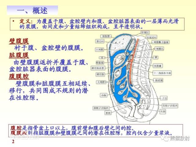 【解剖】腹膜及腹膜腔（经典讲解汇总）