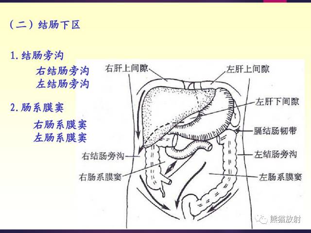 【解剖】腹膜及腹膜腔(经典讲解汇总) 【解剖】腹膜及腹膜腔(经典讲解汇总)