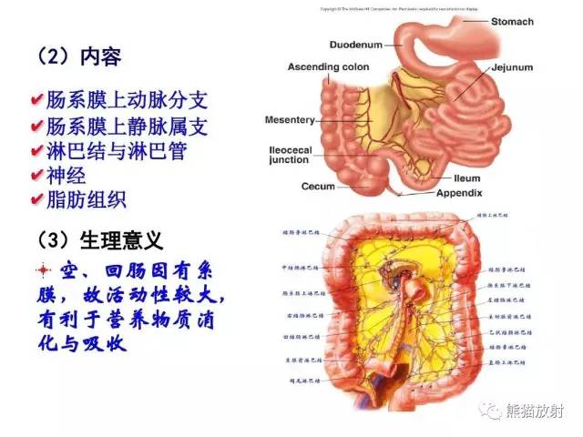 【解剖】腹膜及腹膜腔(经典讲解汇总) 【解剖】腹膜及腹膜腔(经典讲解汇总)