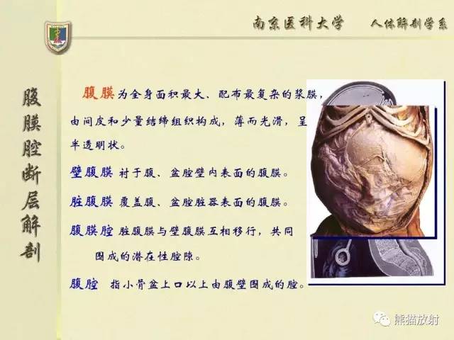 【解剖】腹膜及腹膜腔(经典讲解汇总) 【解剖】腹膜及腹膜腔(经典讲解汇总)
