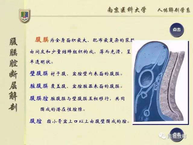 【解剖】腹膜及腹膜腔(经典讲解汇总) 【解剖】腹膜及腹膜腔(经典讲解汇总)