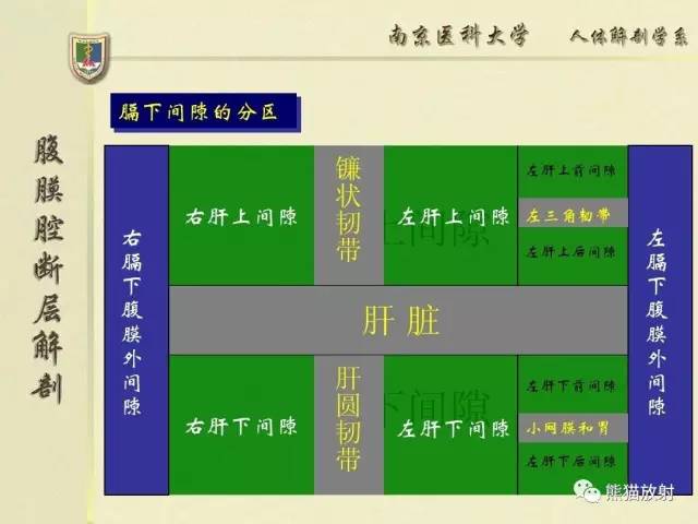 【解剖】腹膜及腹膜腔(经典讲解汇总) 【解剖】腹膜及腹膜腔(经典讲解汇总)