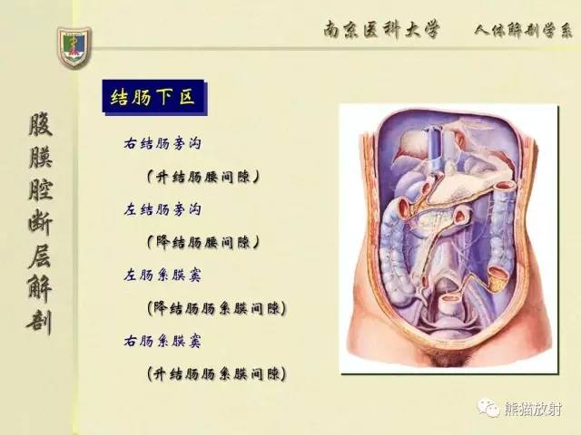 【解剖】腹膜及腹膜腔(经典讲解汇总) 【解剖】腹膜及腹膜腔(经典讲解汇总)