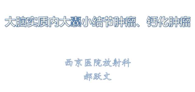 【PPT】大脑实质内大囊小结节肿瘤、 钙化肿瘤