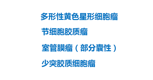 【PPT】大脑实质内大囊小结节肿瘤、 钙化肿瘤