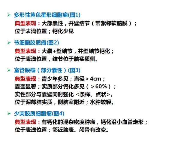 【PPT】大脑实质内大囊小结节肿瘤、 钙化肿瘤