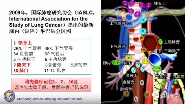 【PPT】胸内(纵膈)淋巴结分区速记