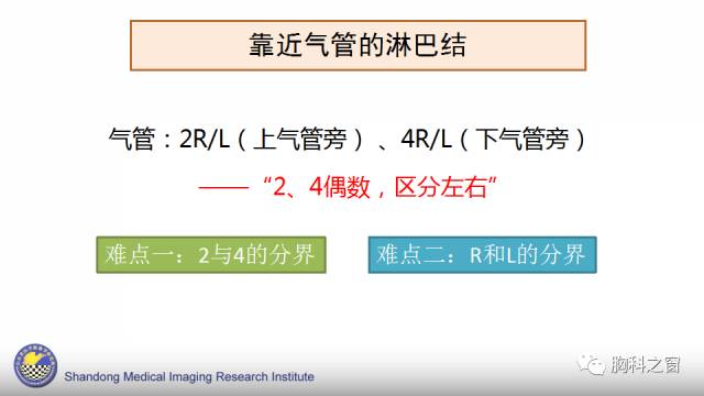 【PPT】胸内(纵膈)淋巴结分区速记