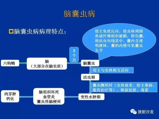 【PPT】脑囊虫病