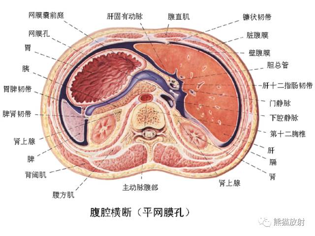 【PPT】原发性腹膜肿瘤的影像表现 【PPT】原发性腹膜肿瘤的影像表现