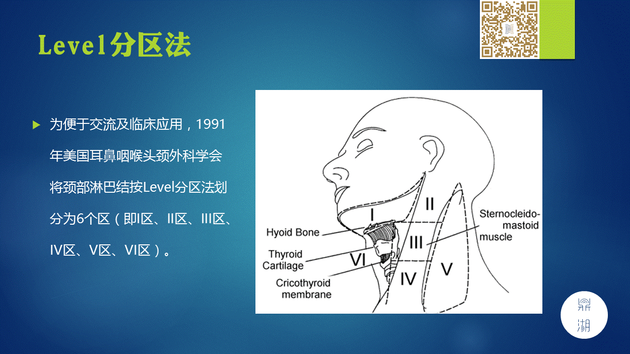 【PPT】颈部淋巴结分区