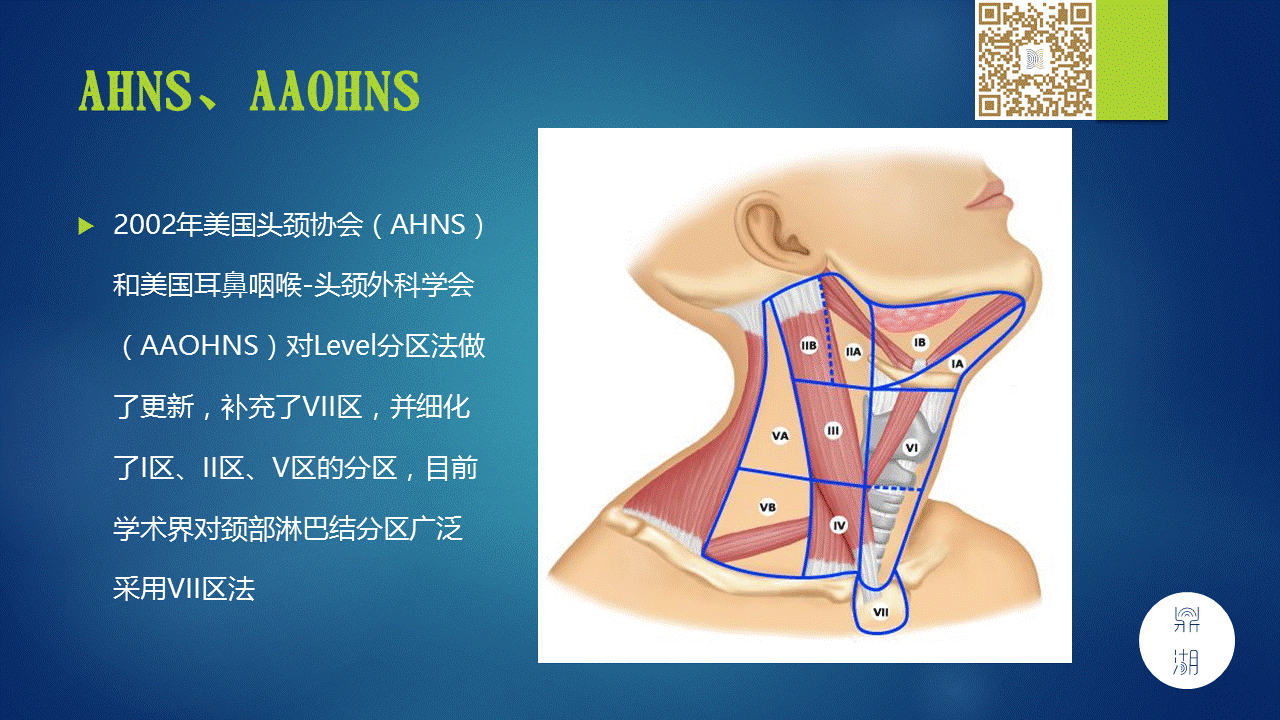 【PPT】颈部淋巴结分区