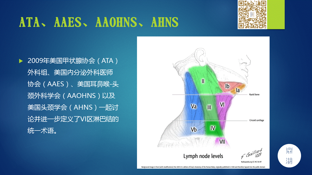 【PPT】颈部淋巴结分区