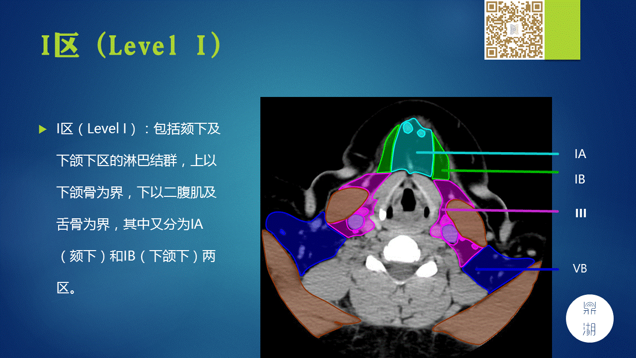 【PPT】颈部淋巴结分区