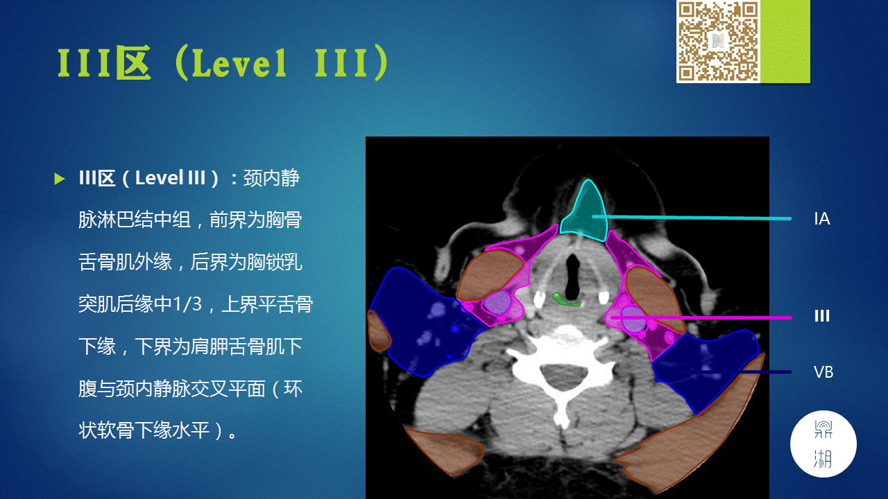 【PPT】颈部淋巴结分区