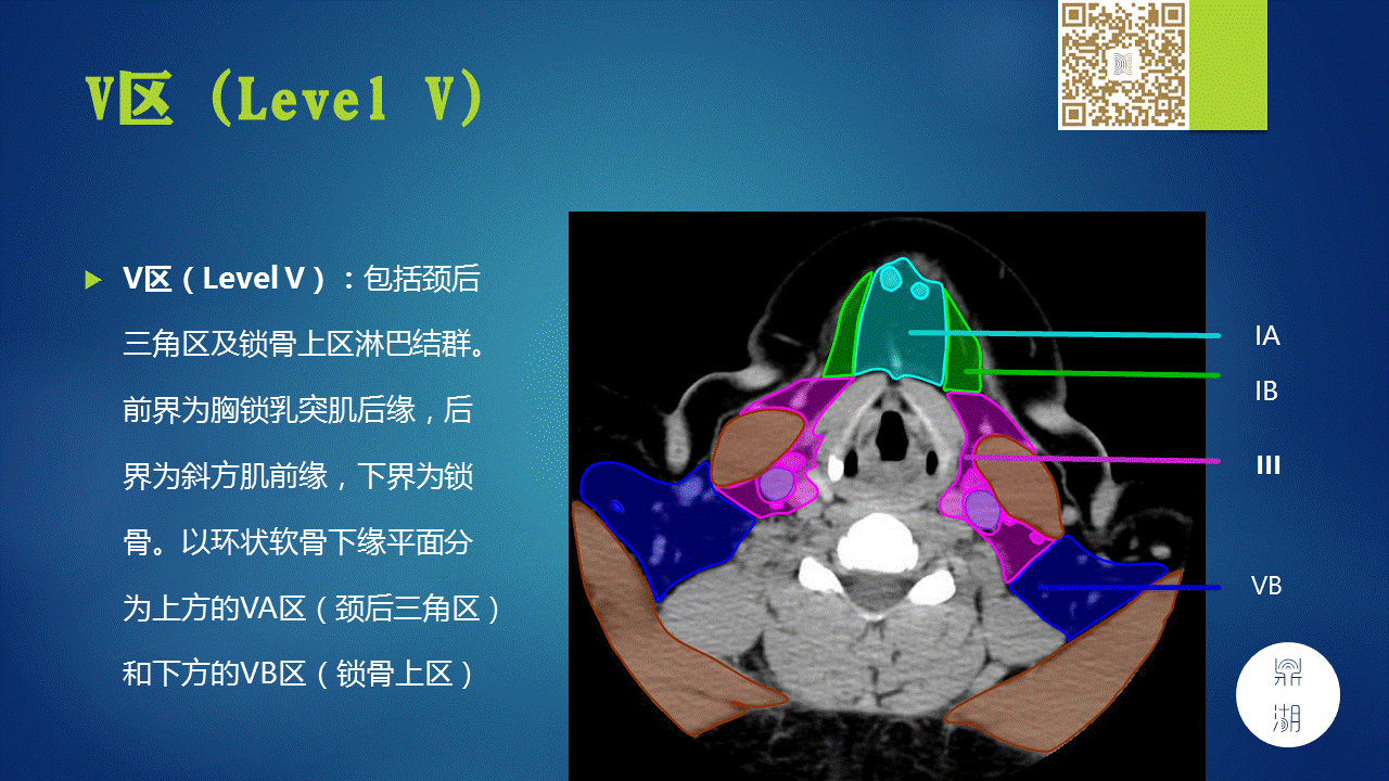 【PPT】颈部淋巴结分区