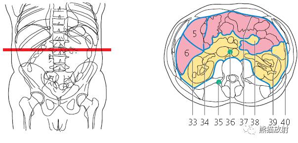 【解剖】上腹部CT断层 [双语]（肝脏解剖及肝段分布、腹部淋巴结分布）