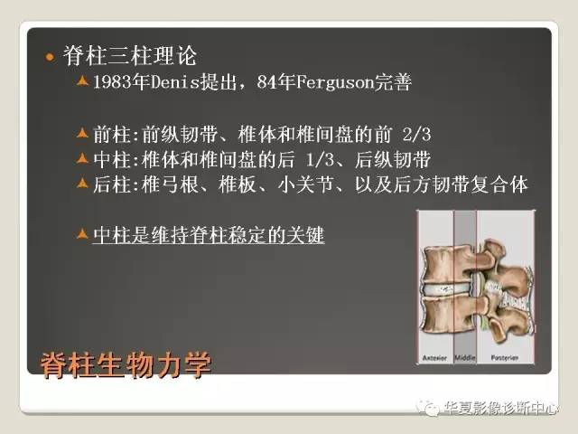 原来椎体压缩骨折与爆裂骨折的差别是酱紫的，你的报告对了吗？