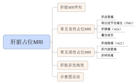 快速入门手册——肝脏占位MRI 快速入门手册——肝脏占位MRI