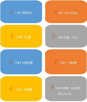 快速入门手册——肝脏占位MRI 快速入门手册——肝脏占位MRI