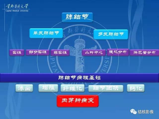 【PPT】肺肉芽肿病变的影像表现和病理基础