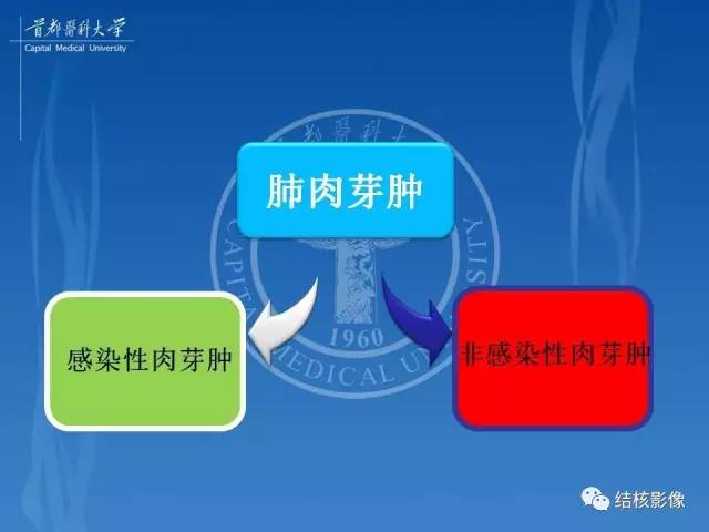 【PPT】肺肉芽肿病变的影像表现和病理基础