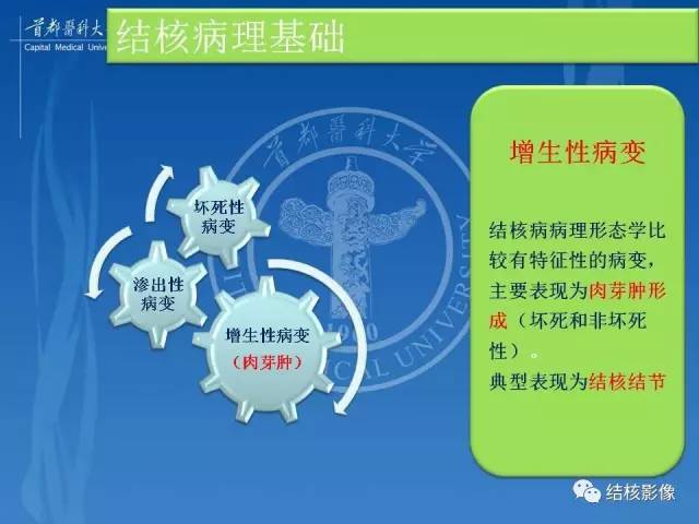 【PPT】肺肉芽肿病变的影像表现和病理基础