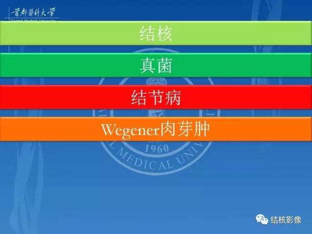 【PPT】肺肉芽肿病变的影像表现和病理基础