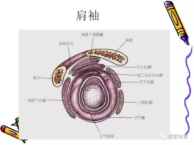 【PPT】肩关节常见创伤性病变