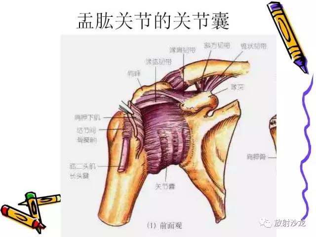 【PPT】肩关节常见创伤性病变
