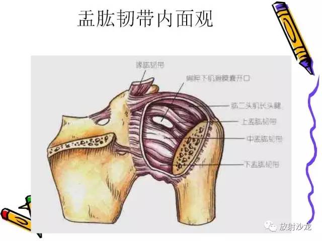 【PPT】肩关节常见创伤性病变