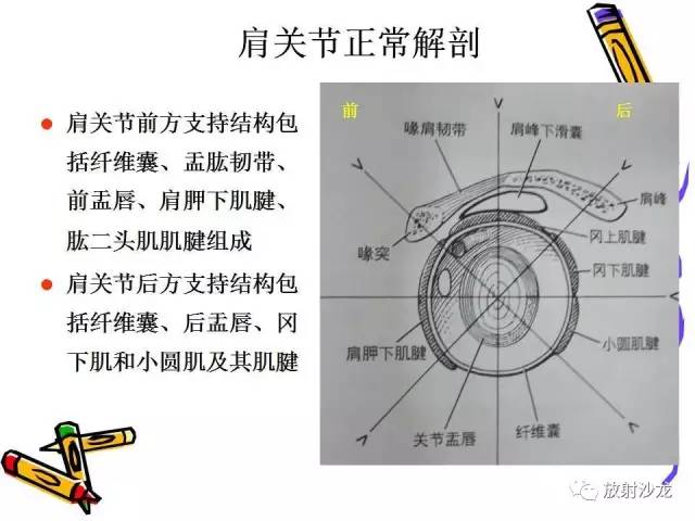 【PPT】肩关节常见创伤性病变
