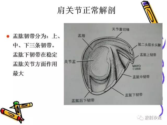 【PPT】肩关节常见创伤性病变