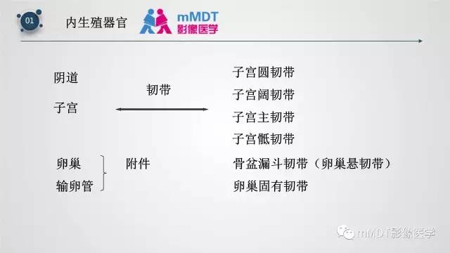 【PPT】子宫附件影像解剖