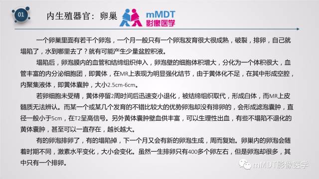 【PPT】子宫附件影像解剖