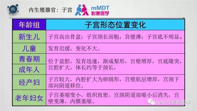 【PPT】子宫附件影像解剖