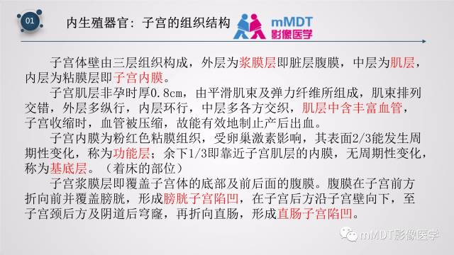 【PPT】子宫附件影像解剖