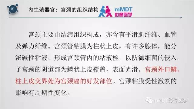 【PPT】子宫附件影像解剖
