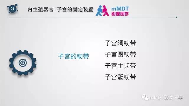 【PPT】子宫附件影像解剖