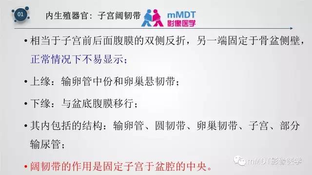 【PPT】子宫附件影像解剖