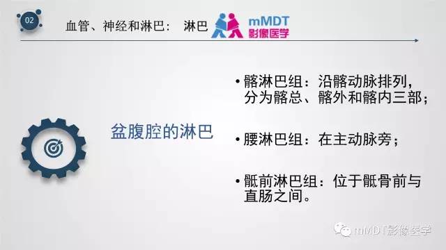 【PPT】子宫附件影像解剖