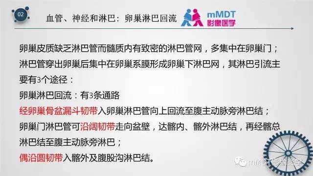 【PPT】子宫附件影像解剖