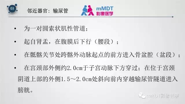 【PPT】子宫附件影像解剖
