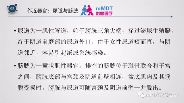 【PPT】子宫附件影像解剖