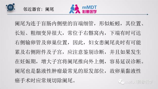 【PPT】子宫附件影像解剖