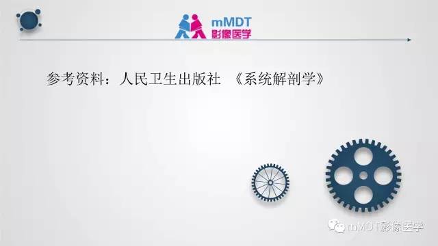 【PPT】子宫附件影像解剖