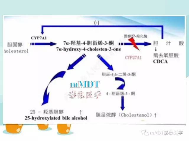 【PPT】脑腱黄瘤病