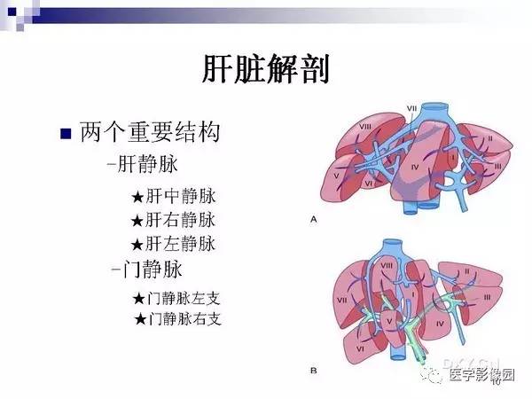 【PPT】肝占位病变影像诊断思路