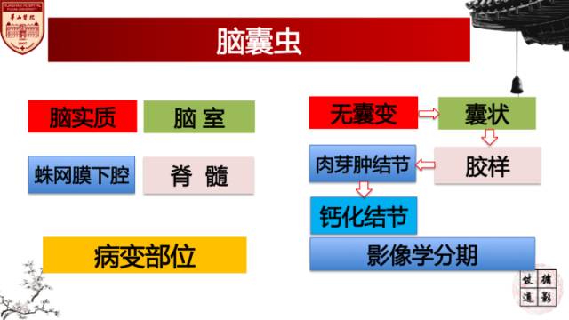【病例】脑囊虫病1例MR影像诊断